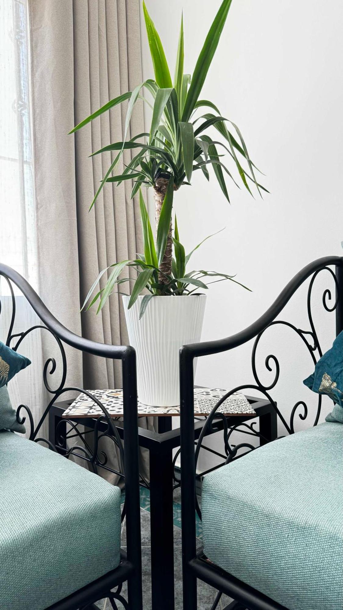 Calays Tu Hogar Junto Al Mar Apartment Tangier Bagian luar foto